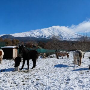 Rossy Etna Retreat